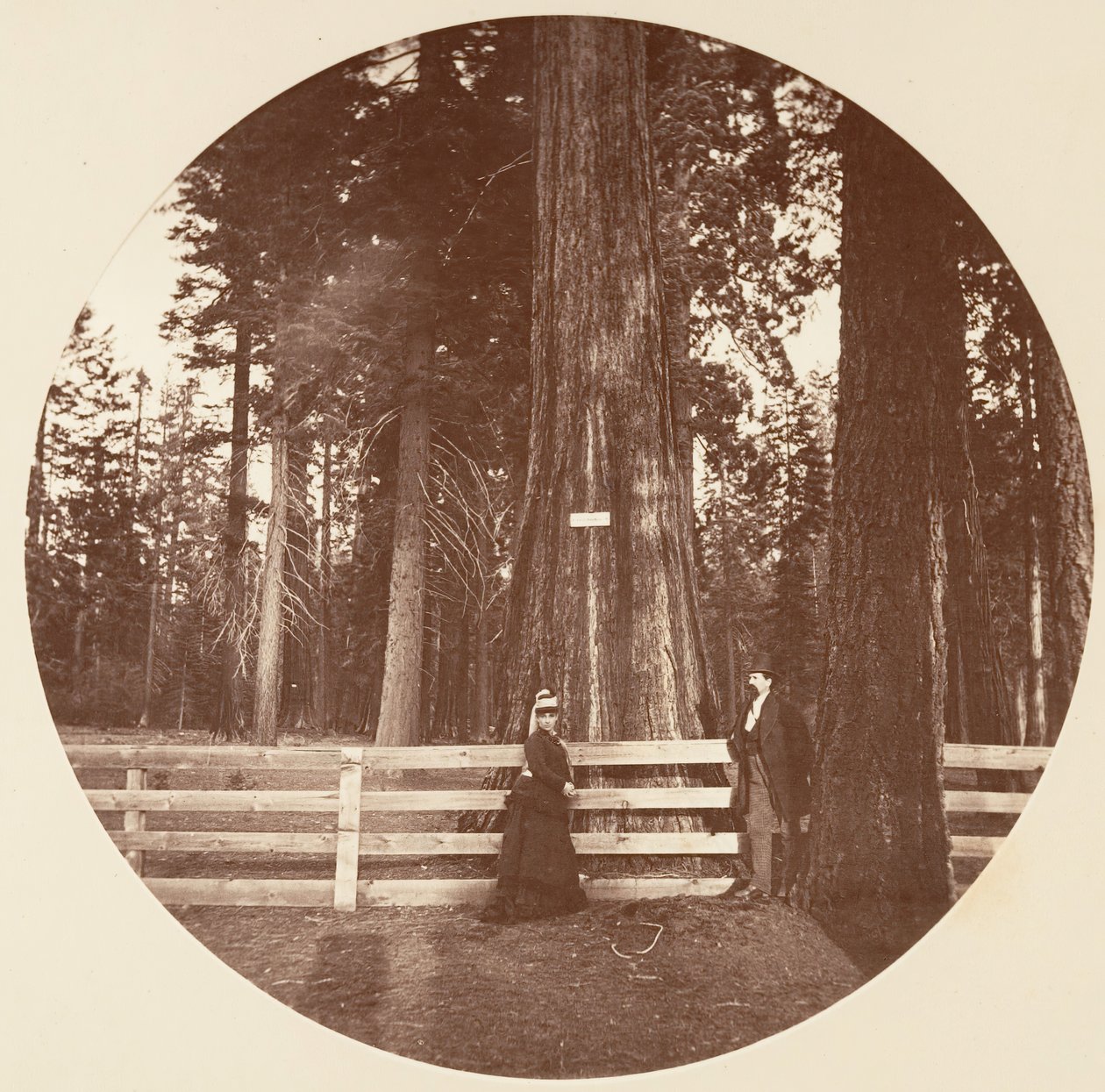 Auld Reckie. C. Grove, ca. 1878. af Carleton Emmons Watkins