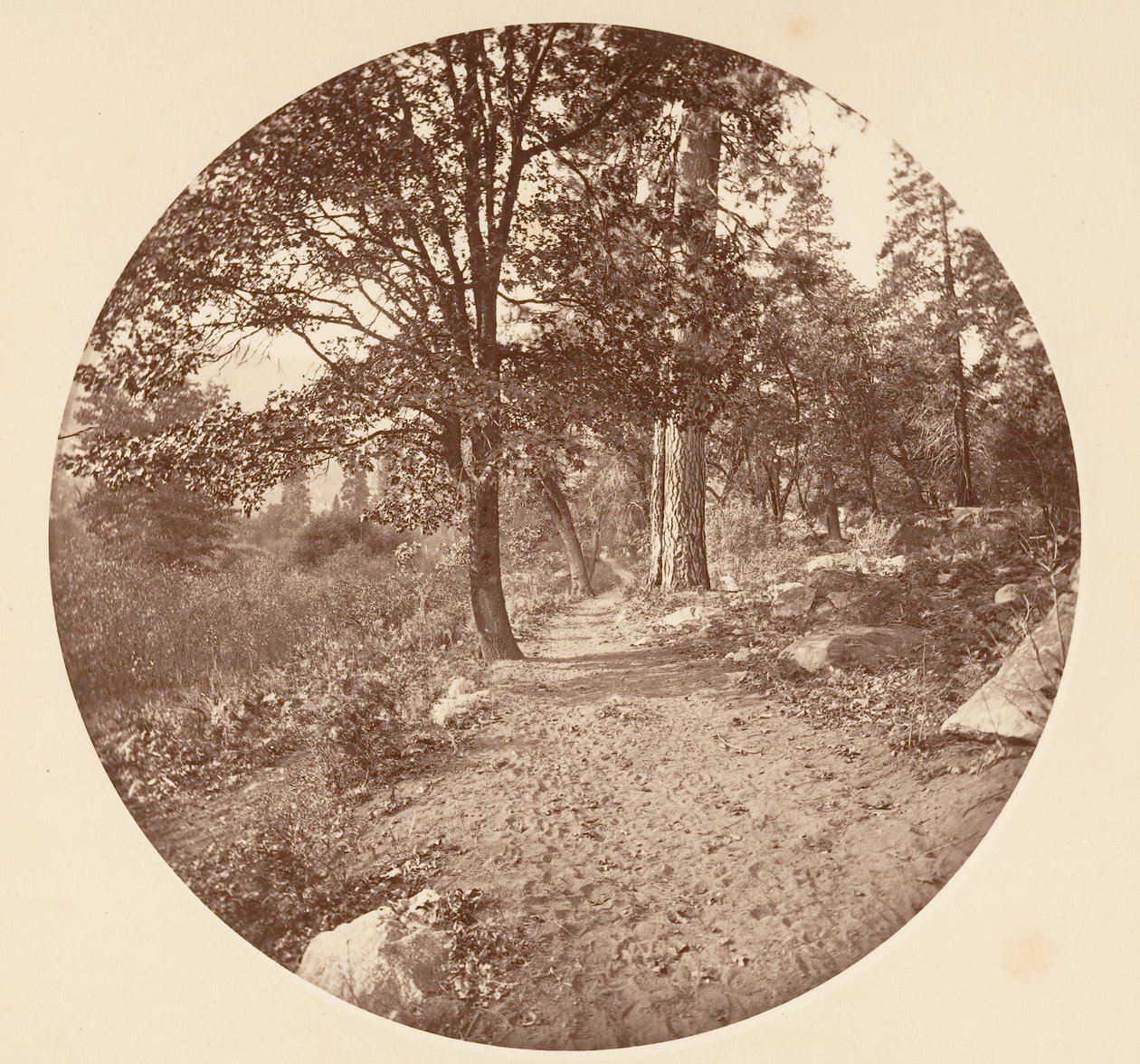 I Yosemite Valley, ca. 1878. af Carleton Emmons Watkins