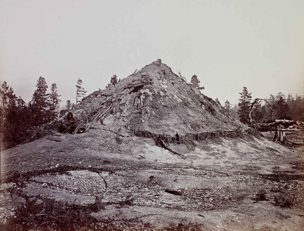 Indian Sweat House, Mendocino County, Californien, 1863. af Carleton Emmons Watkins
