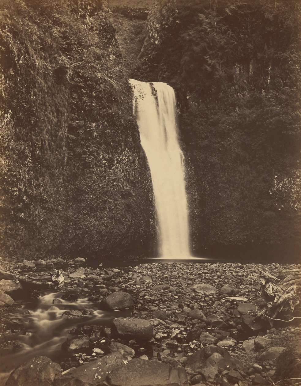 Lower Multnomah Falls, Columbia River,1867 (foto) af Carleton Emmons Watkins