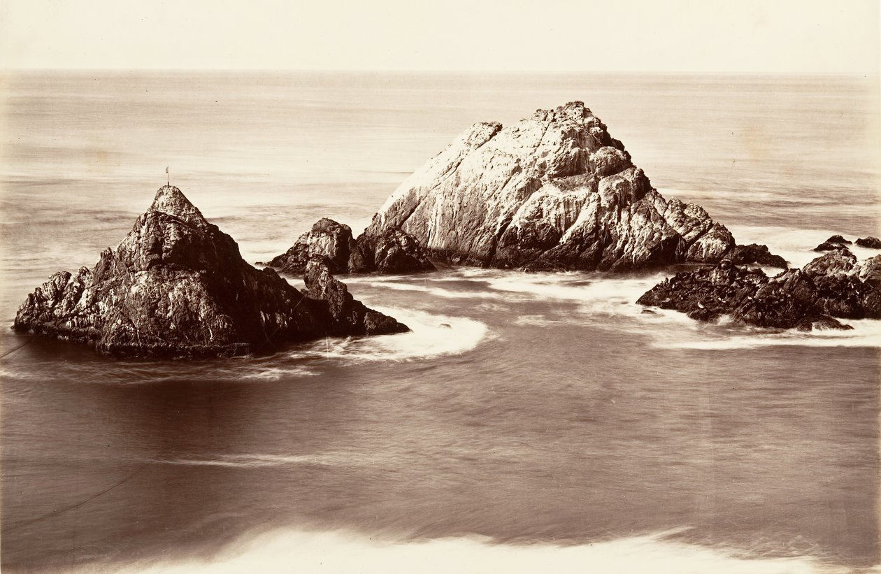 Seal Rocks, 1868-69, trykt ca. 1876. af Carleton Emmons Watkins