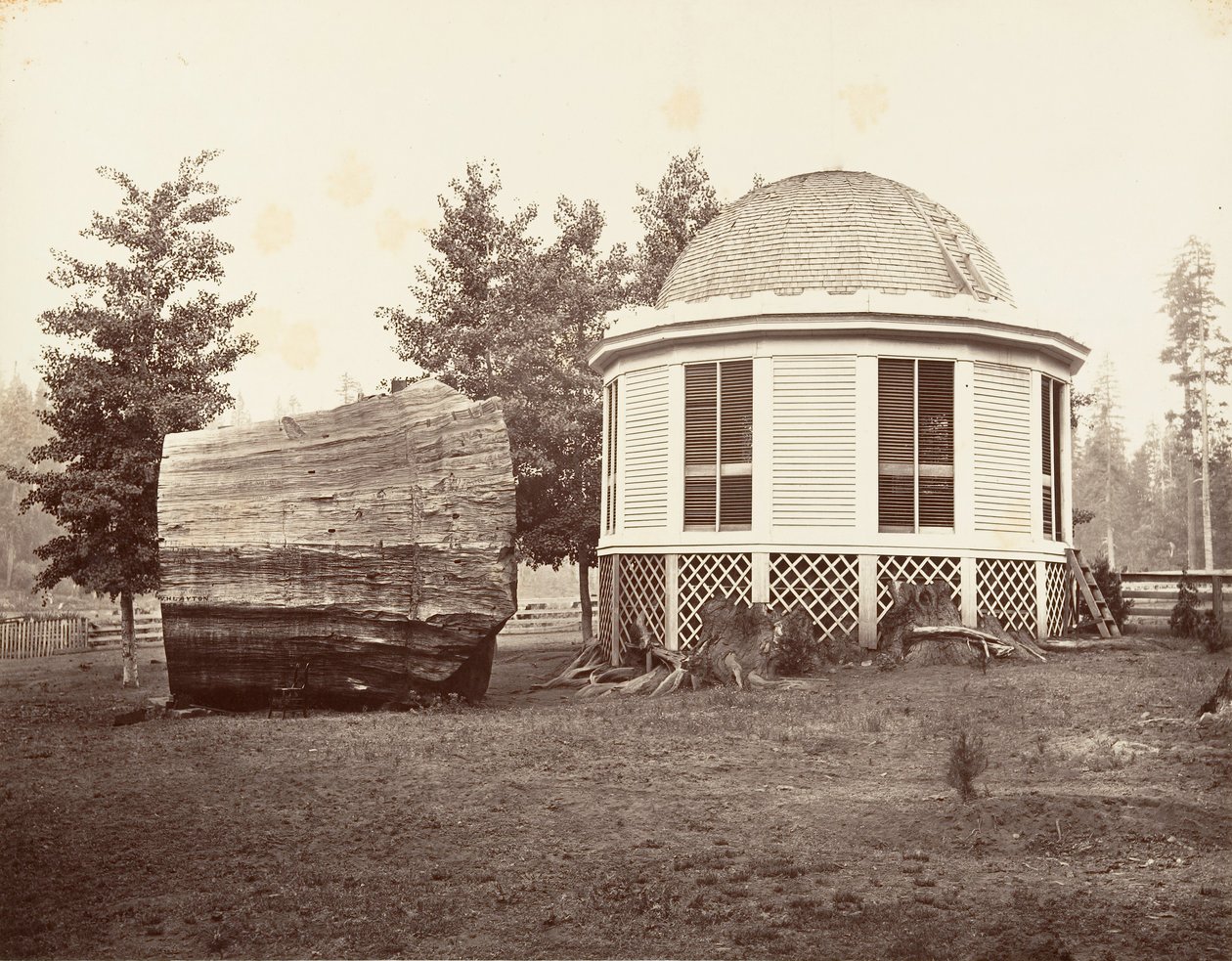 Huset over en stub af et stort træ, 1865-66, trykt ca. 1876. af Carleton Emmons Watkins