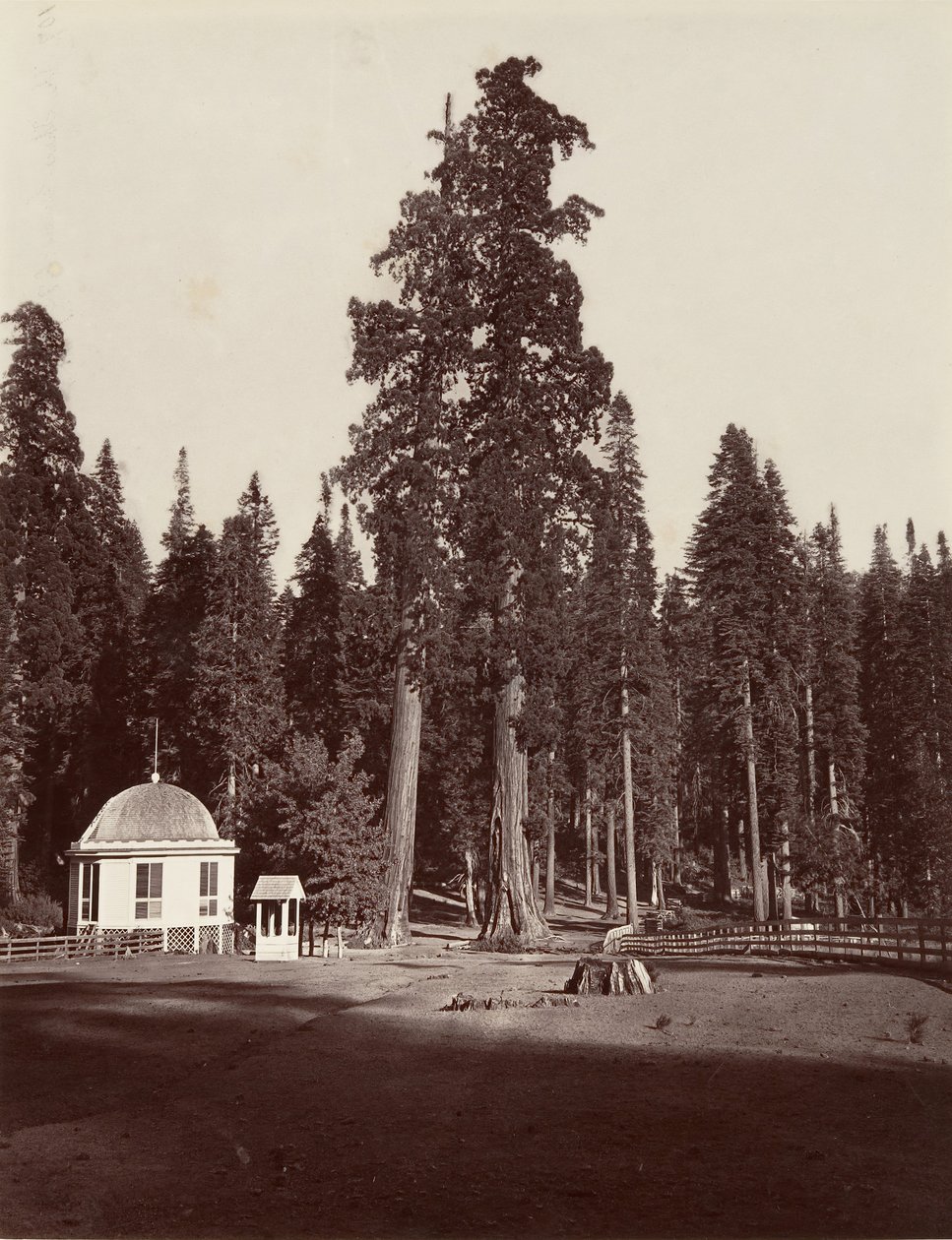 The Sentinel, 315 fod, 1865-66, trykt ca. 1876. af Carleton Emmons Watkins