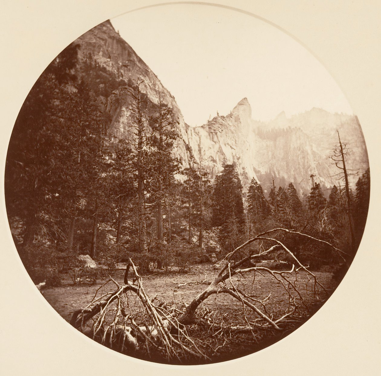 [Yosemite National Park, Californien], ca. 1878. af Carleton Emmons Watkins