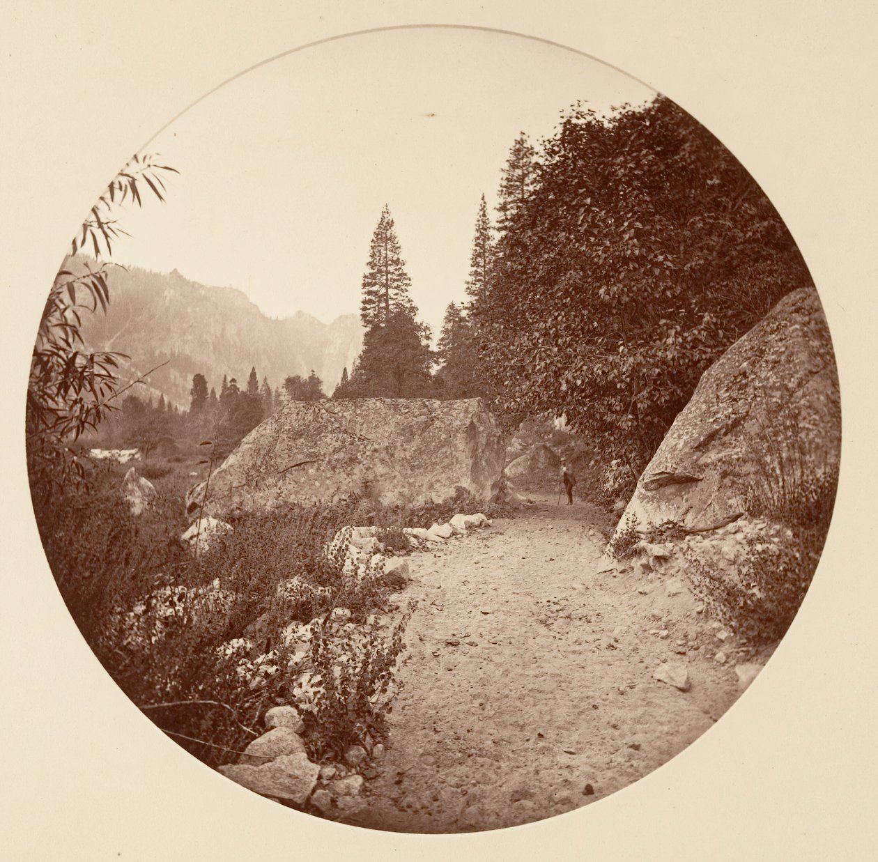 [Yosemite National Park, Californien], ca. 1878. af Carleton Emmons Watkins