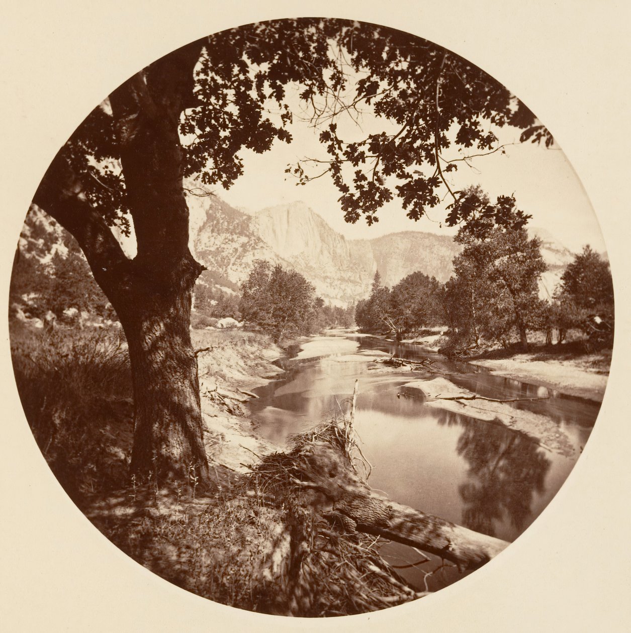 [Yosemite National Park, Californien], ca. 1878. af Carleton Emmons Watkins
