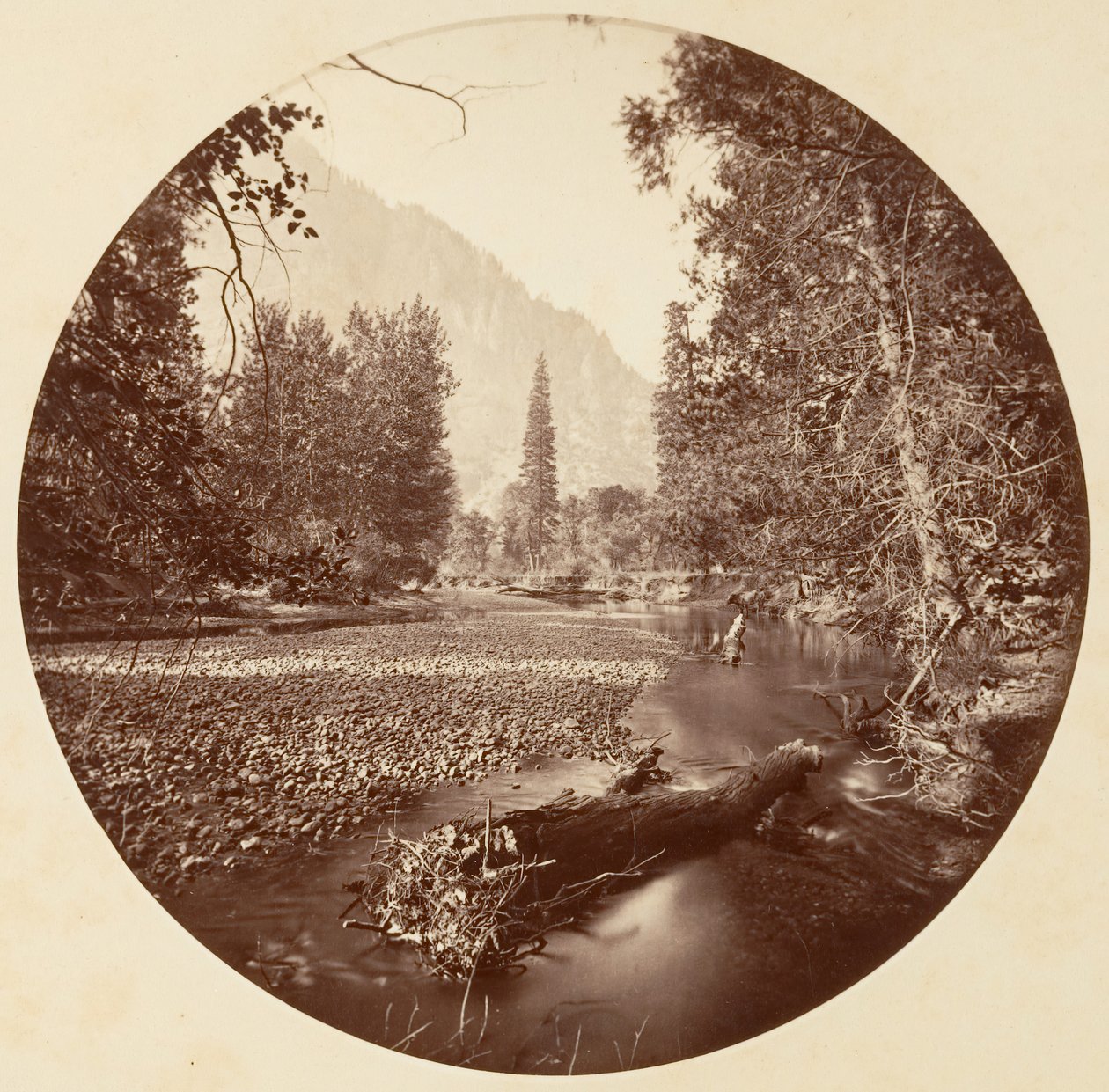 [Yosemite National Park, Californien], ca. 1878. af Carleton Emmons Watkins