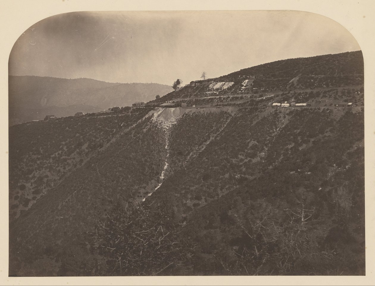 (Pine Tree Mine) af Carleton Watkins