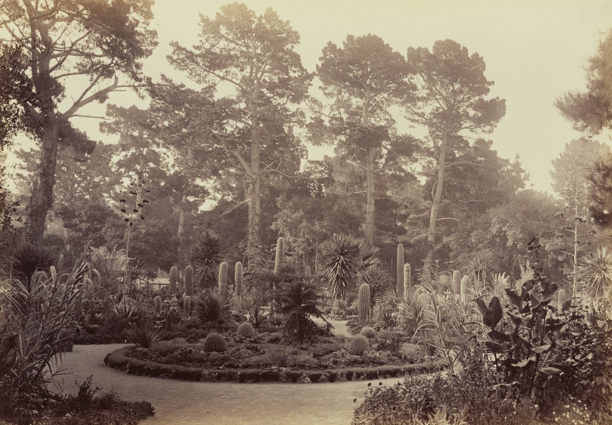 [Arizona-haven, Hotel del Monte, Monterey] af Carleton Watkins