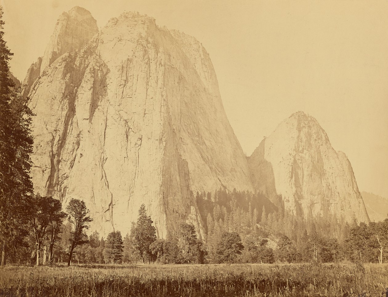 [Cathedral Rocks, 2600 fod høj] af Carleton Watkins
