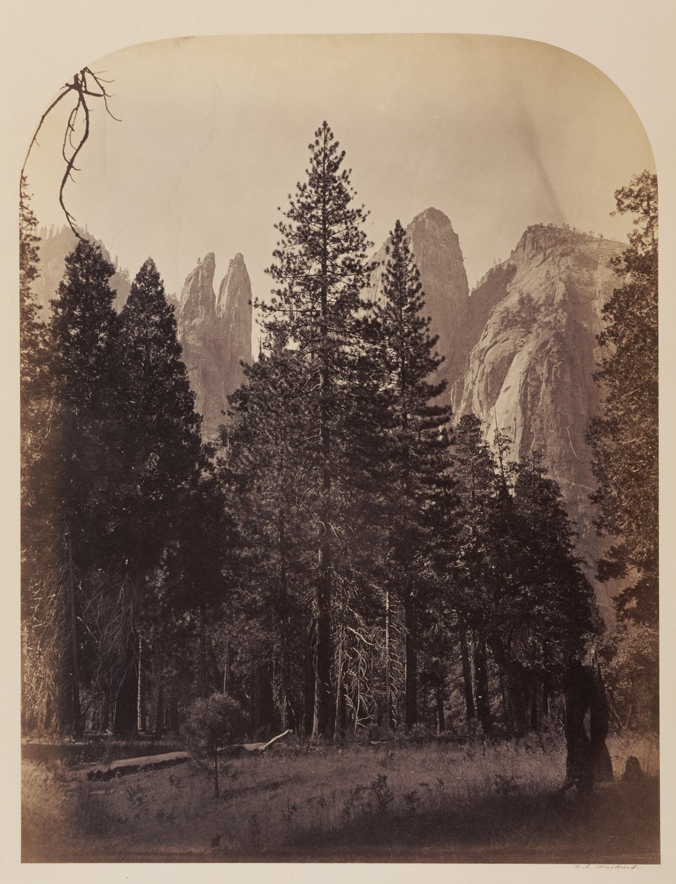 Katedralspir - Yosemite af Carleton Watkins