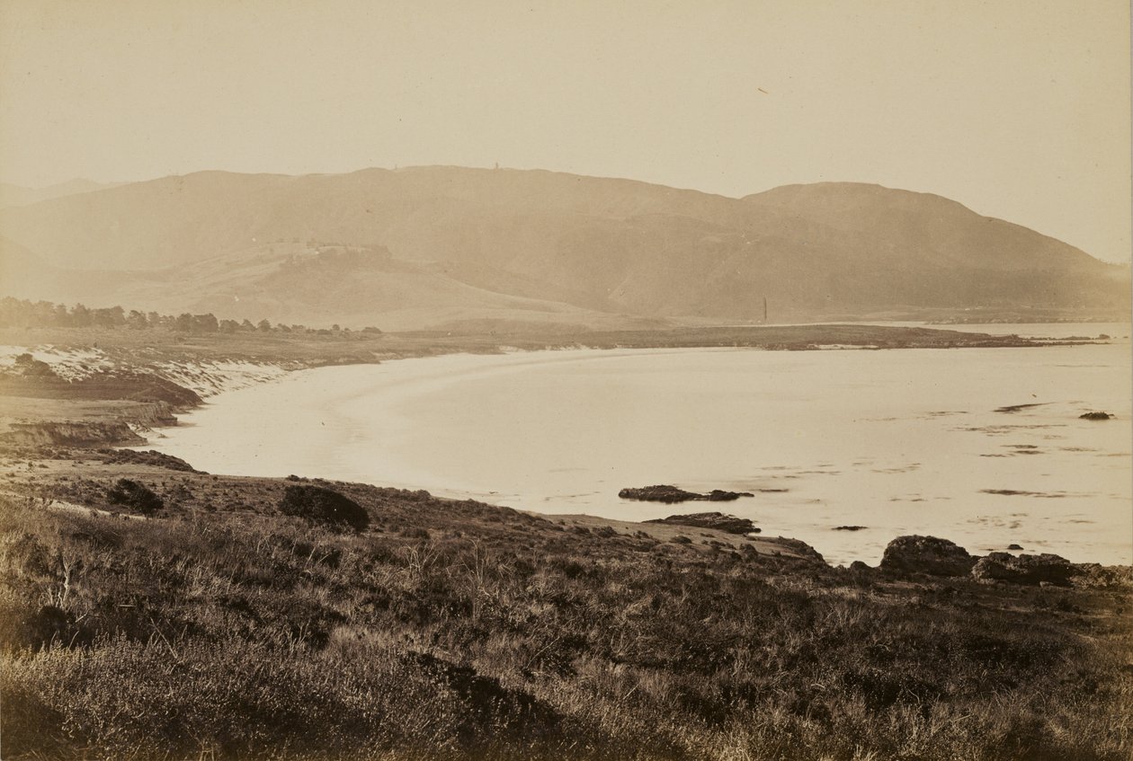 [Kystudsigt, Monterey] af Carleton Watkins