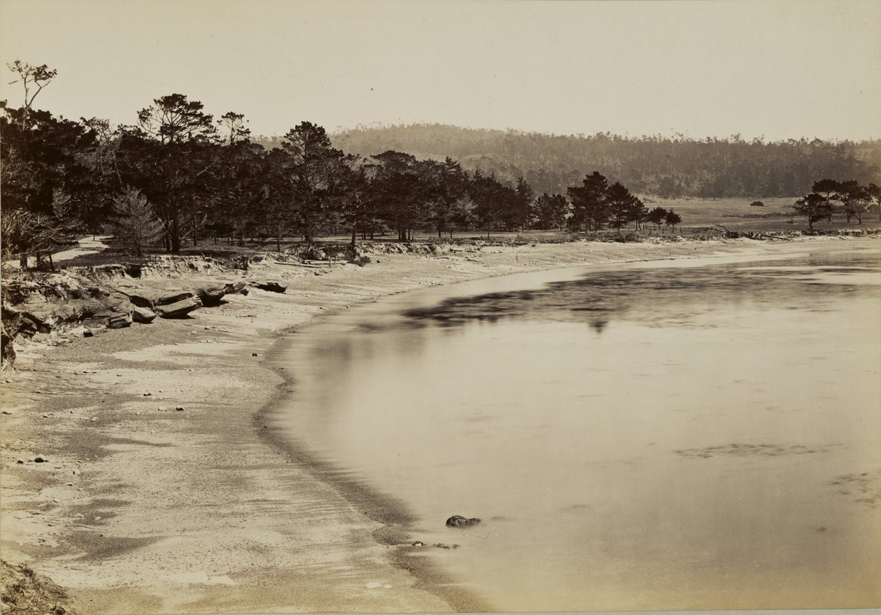 [Udsigt over kysten nær Monterey] af Carleton Watkins