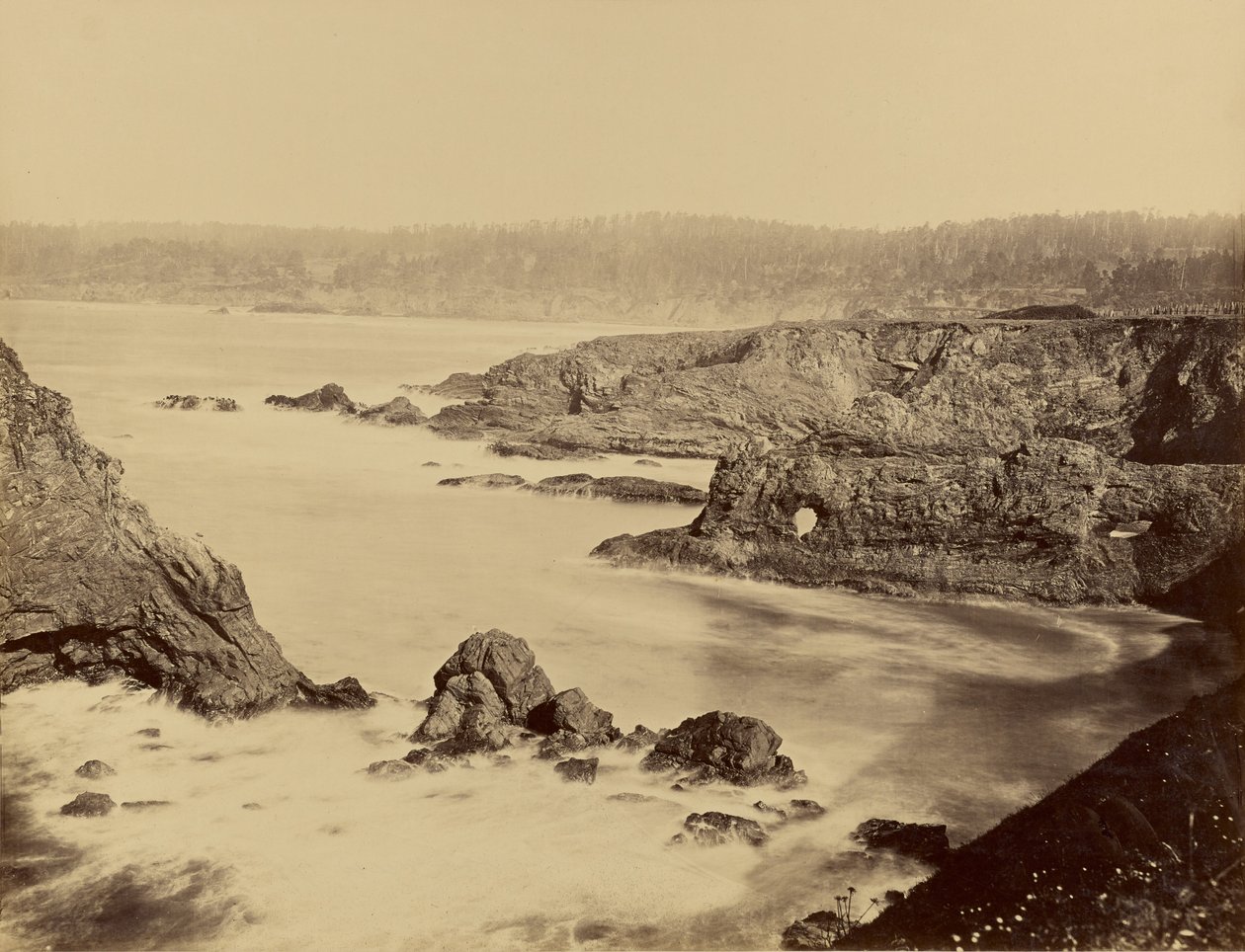 [Kystudsigt over Mendocino] af Carleton Watkins
