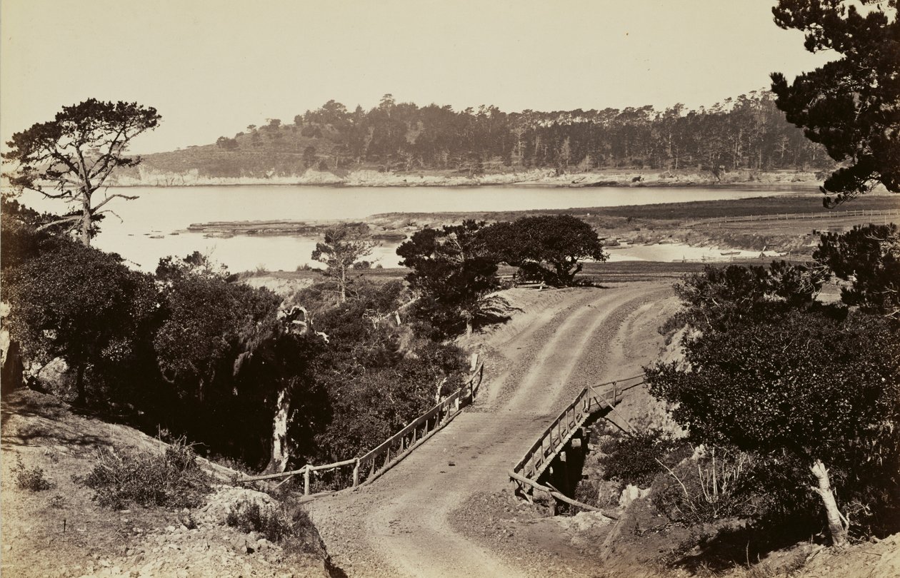 [Udsigt over kysten nær Monterey] af Carleton Watkins