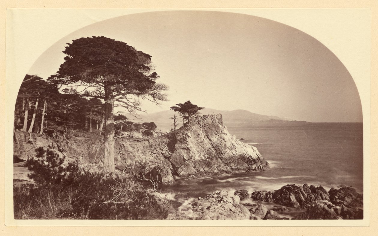 [Cypress Point fra Cypress Drive, Monterey, Californien] af Carleton Watkins