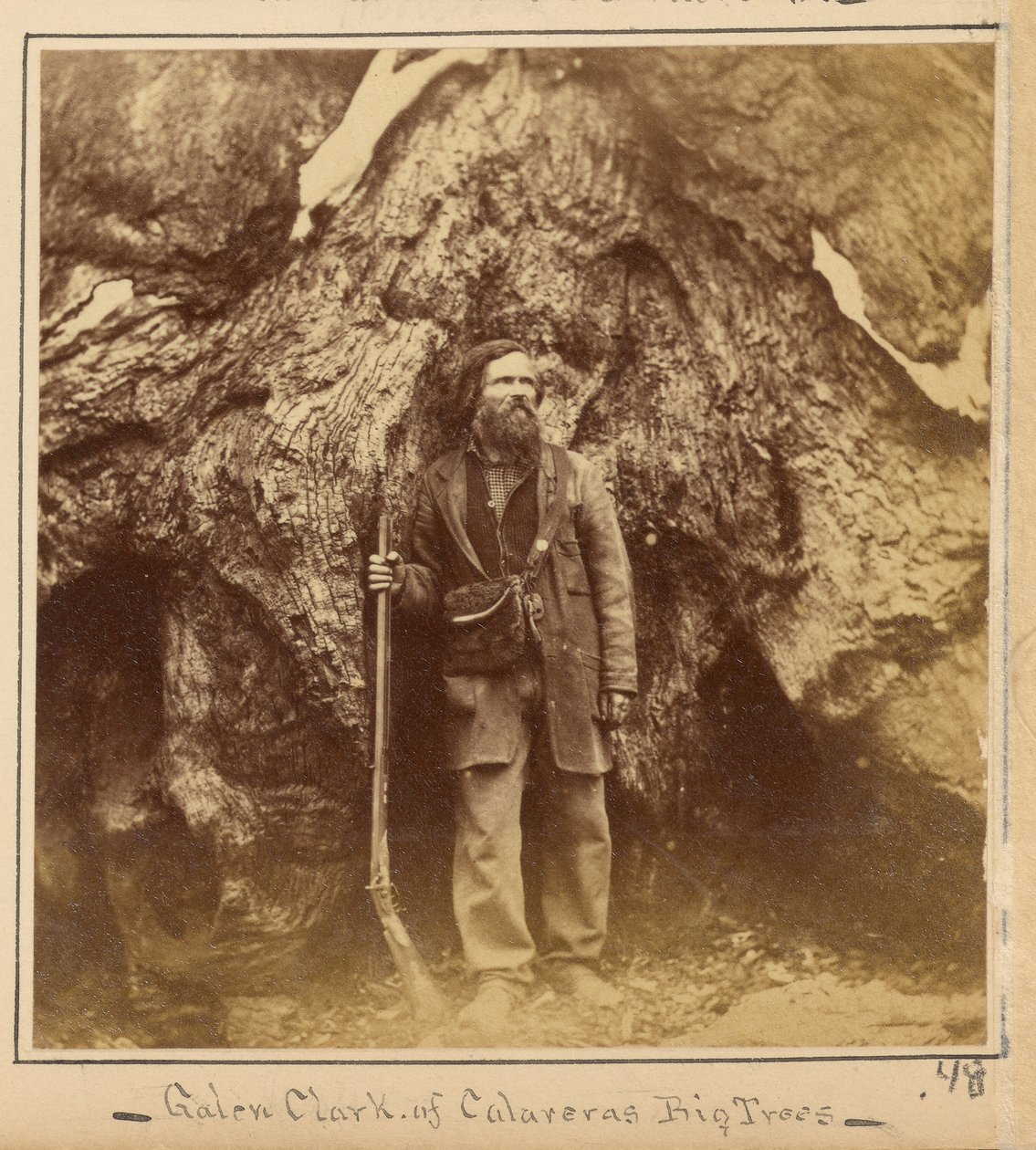 Galen Clark, Esq., Mariposa Grove, Mariposa County, Californien af Carleton Watkins