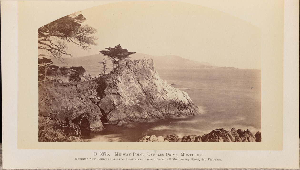 Midway Point, Cypress Drive, Monterey af Carleton Watkins