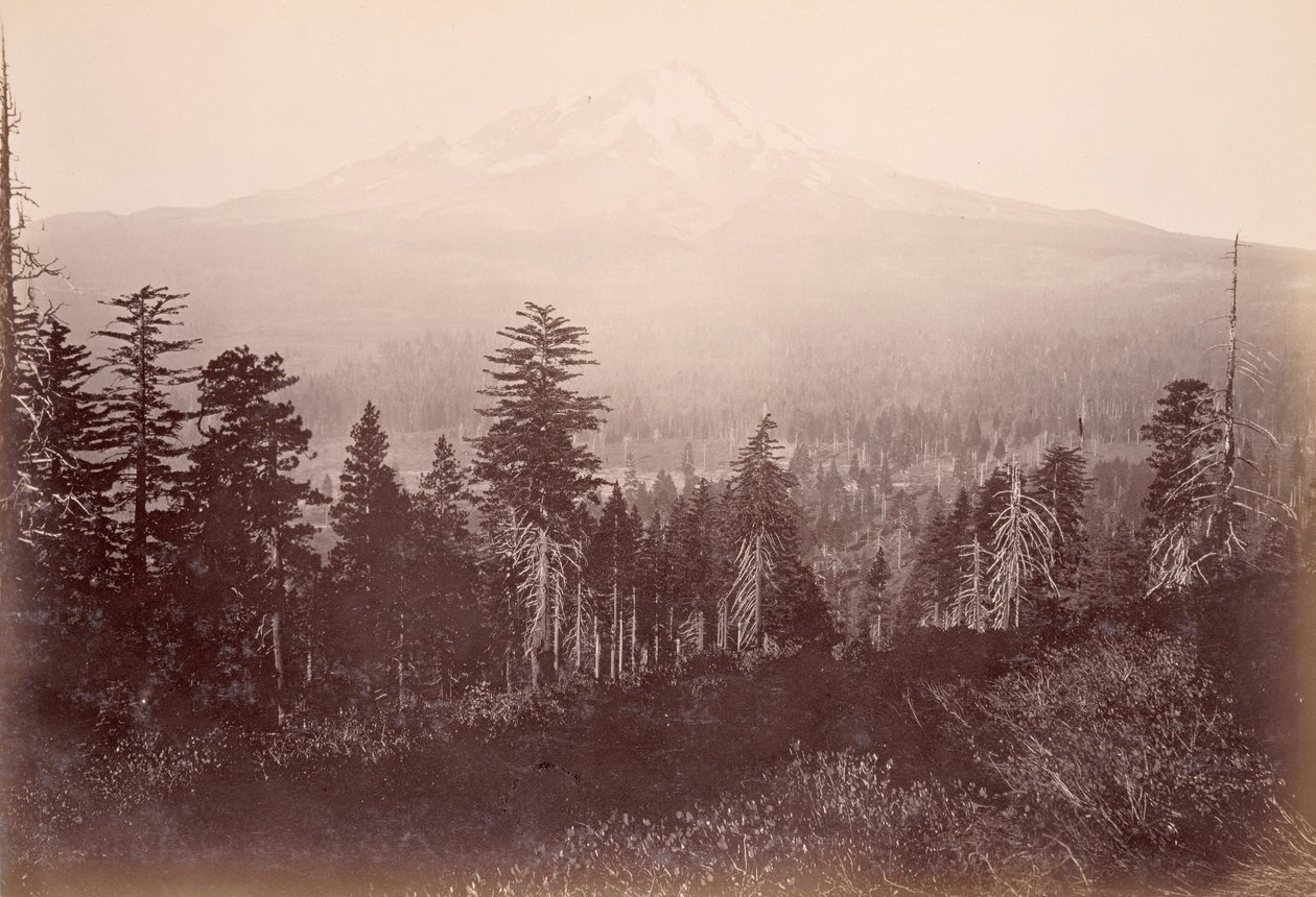 Mount Shasta af Carleton Watkins