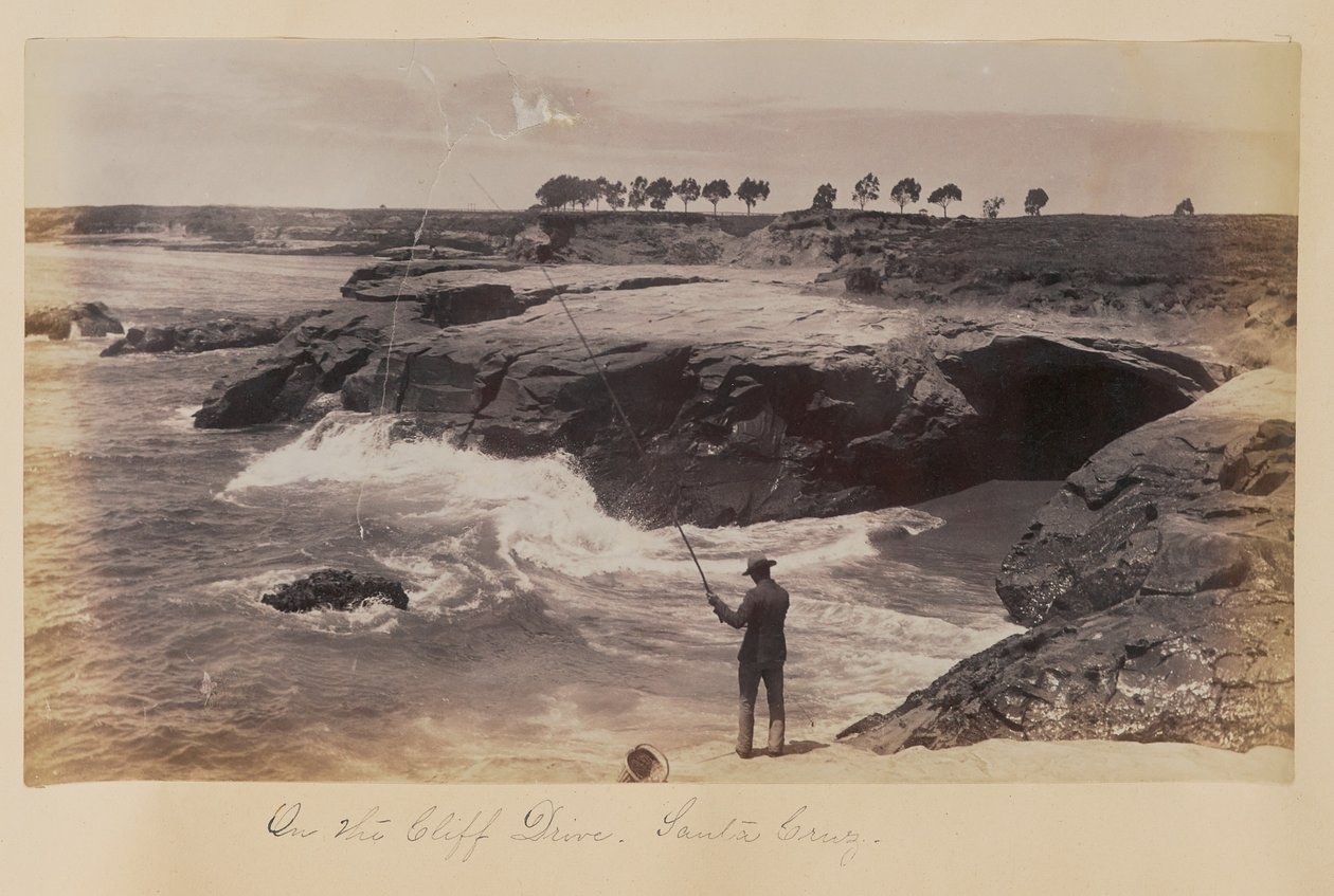 På Cliff Drive, Santa Cruz af Carleton Watkins