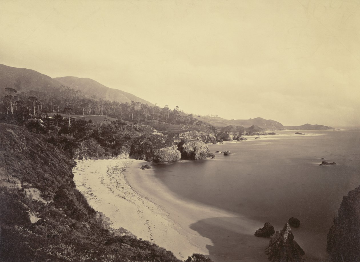 [Pacific Coast View] / [Gibson Beach, Pt. Lobos, Monterey Coast] af Carleton Watkins