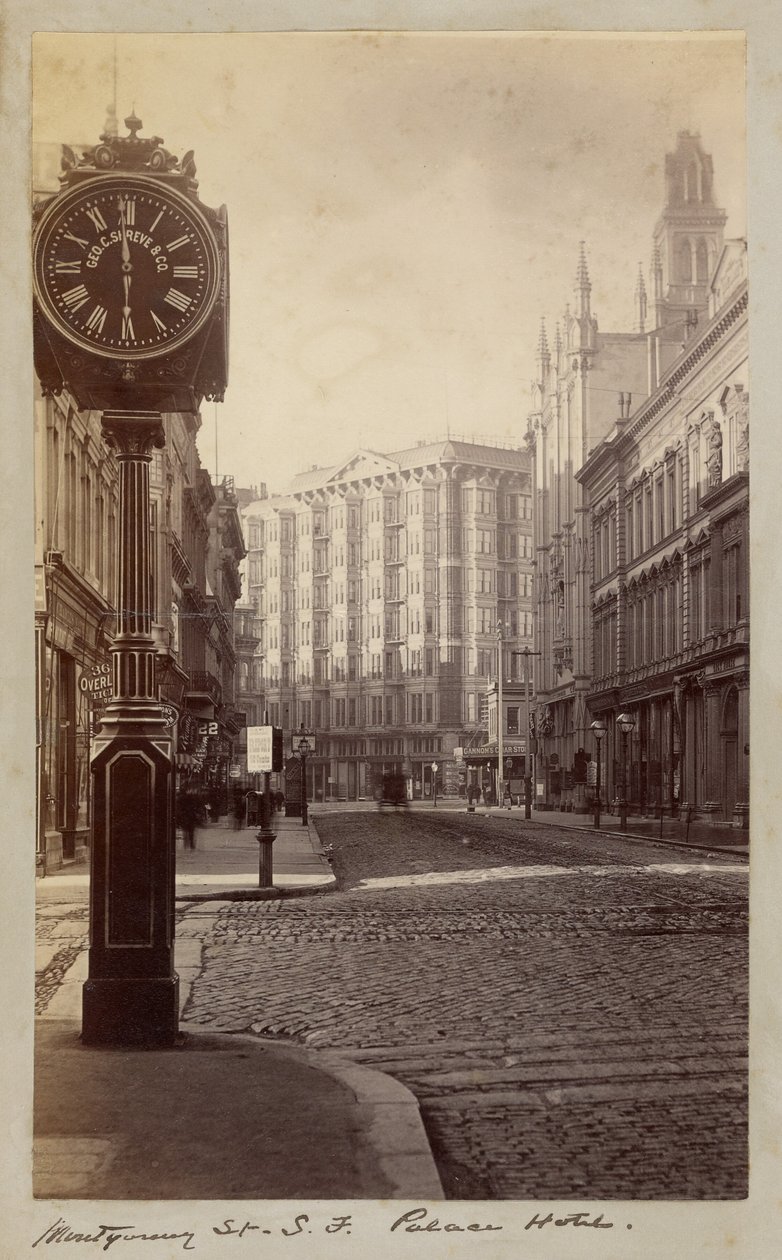 Palace Hotel, Montgomery Street, San Francisco af Carleton Watkins