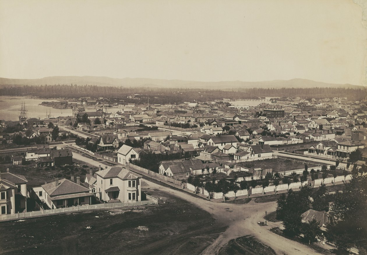 [Panorama over Victoria, B.C. - udsigt fra Christ Church nr. 2] af Carleton Watkins