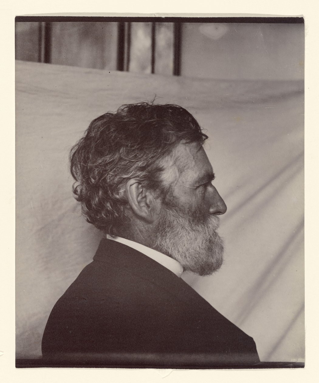 Portræt af George Davidson af Carleton Watkins