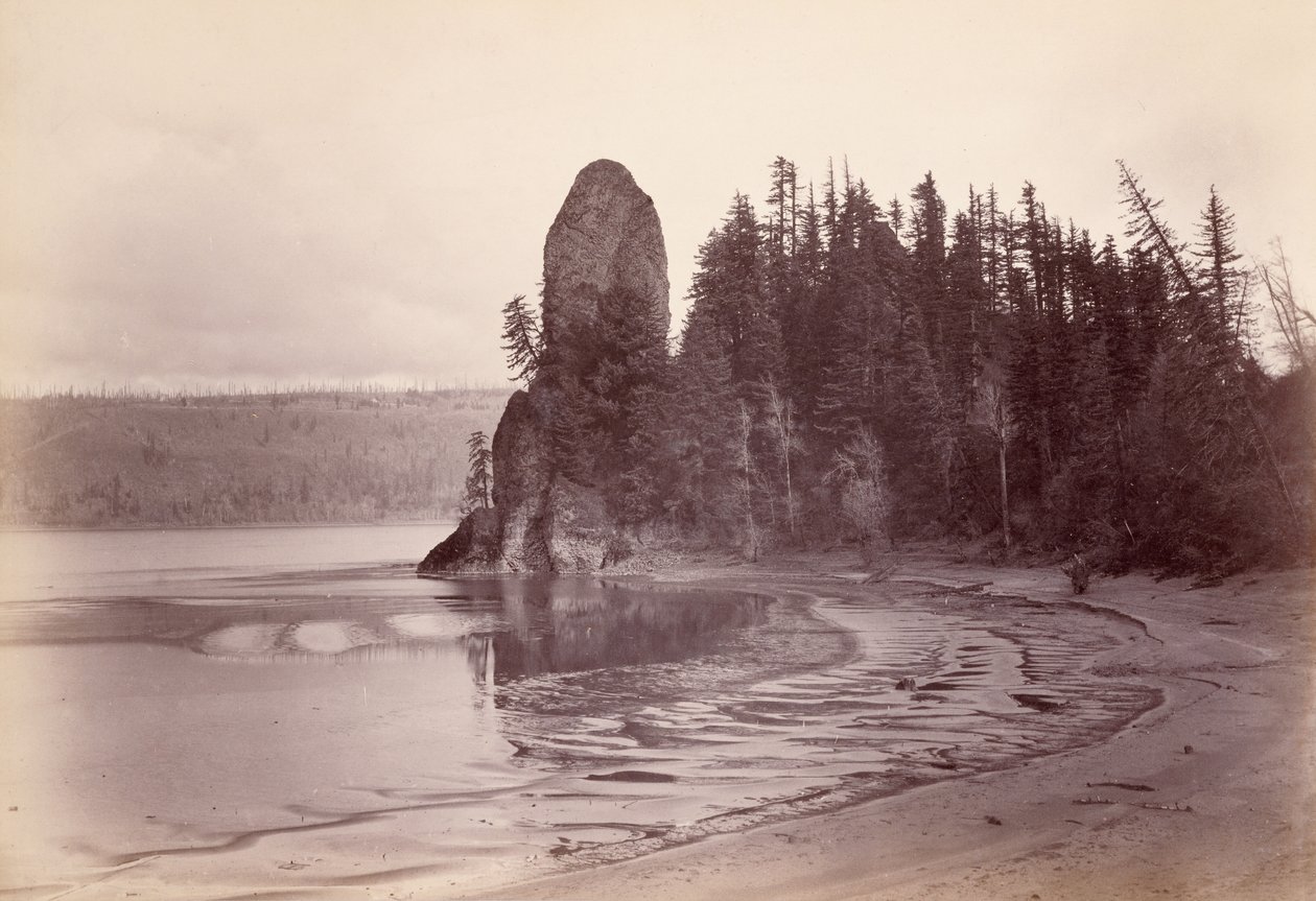 [Rooster Rock - Columbiafloden] af Carleton Watkins