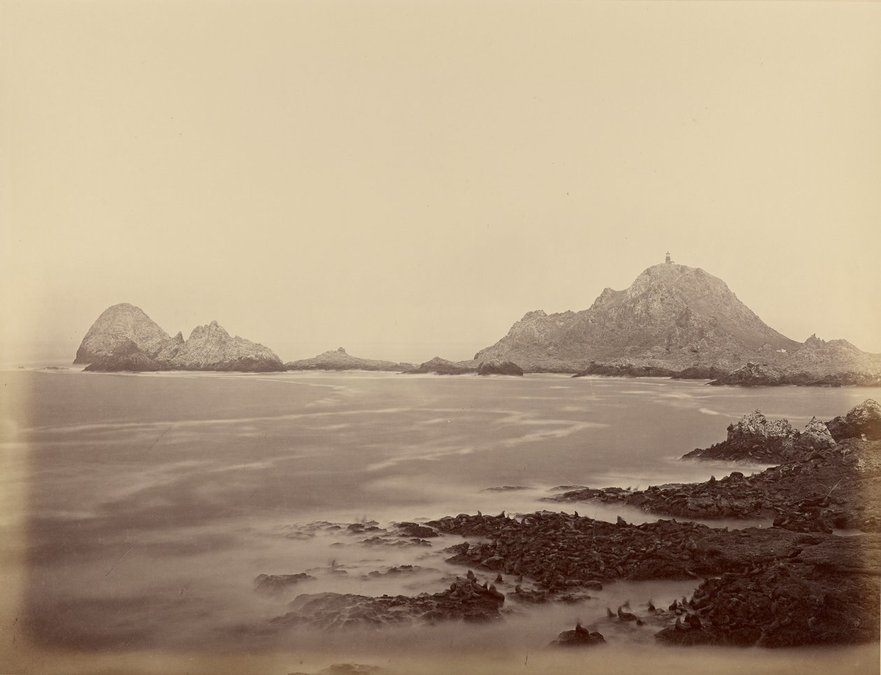 Seal Point fra den vestlige ende af Farallones af Carleton Watkins