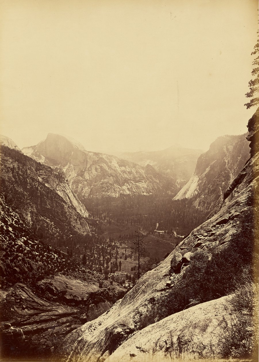 [Kuplerne fra foden af Upper Yosemite]. af Carleton Watkins