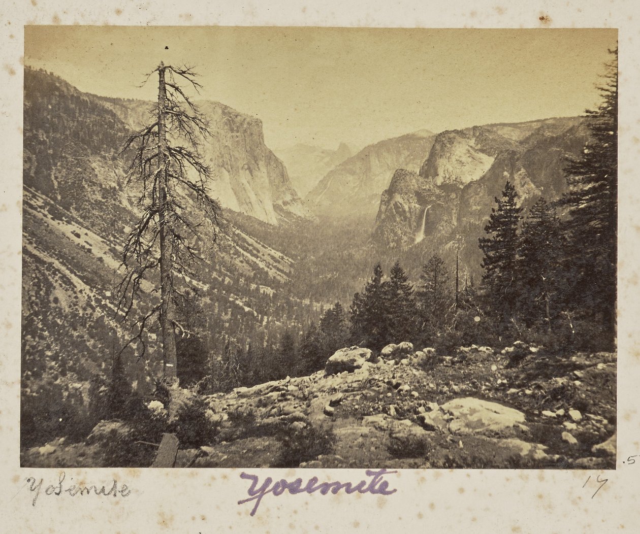 Yosemite-dalen, fra Mariposa-stien, Yosemite-dalen, Mariposa County, Californien (nr. 1138) af Carleton Watkins