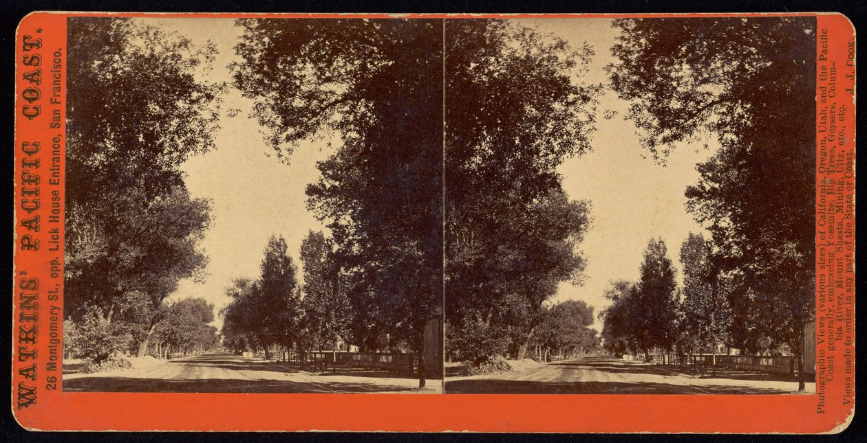 Gadeudsigt med træer i San Gabriel, Californien af Carleton Watkins