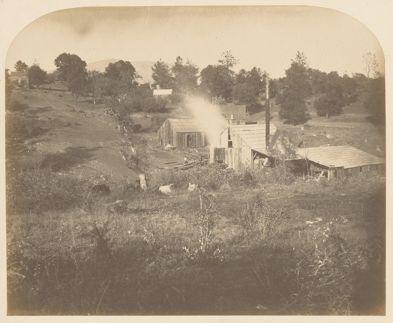 [Turners mølle] af Carleton Watkins
