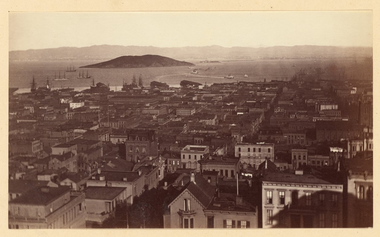 [Udsigt fra Cal St. Hill, S.F. / 3733] af Carleton Watkins