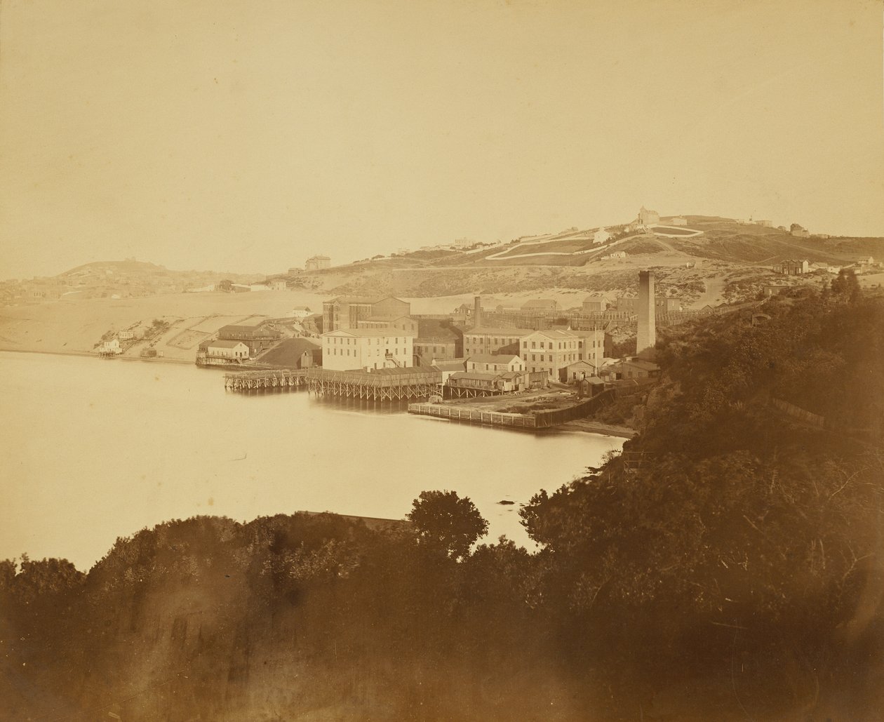[Uldspinderi, San Francisco] af Carleton Watkins