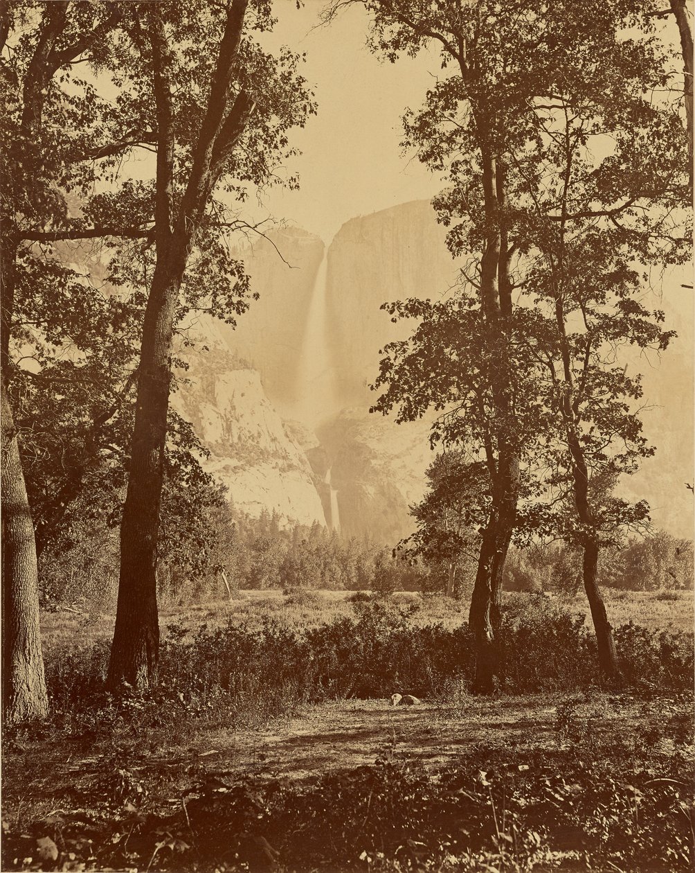 [Yosemite-vandfaldene set nedefra] af Carleton Watkins