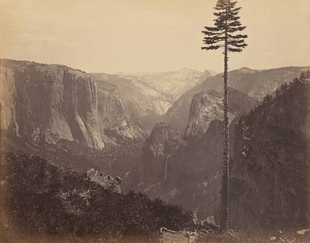 [Yosemite-dalen fra det bedste udsigtspunkt] af Carleton Watkins