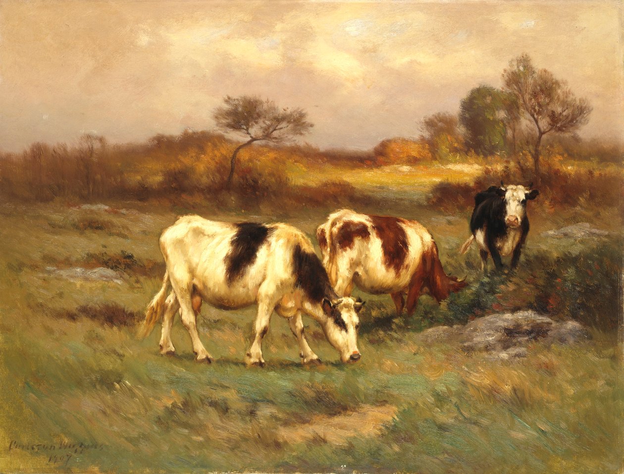 Græsningsarealet af Carleton Wiggins