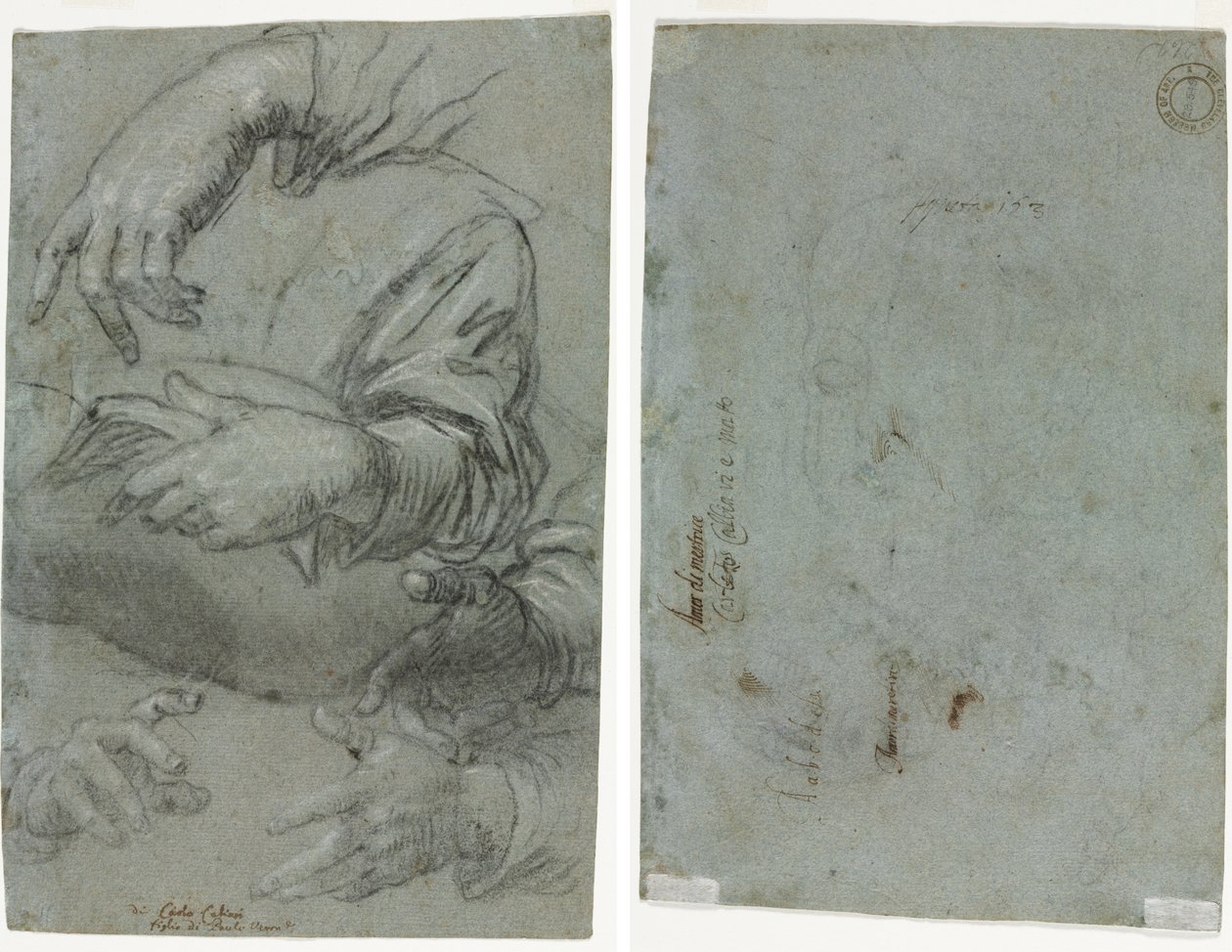 Studier af hænder (recto); Skitse af et barns hoved (verso) af Carletto Caliari