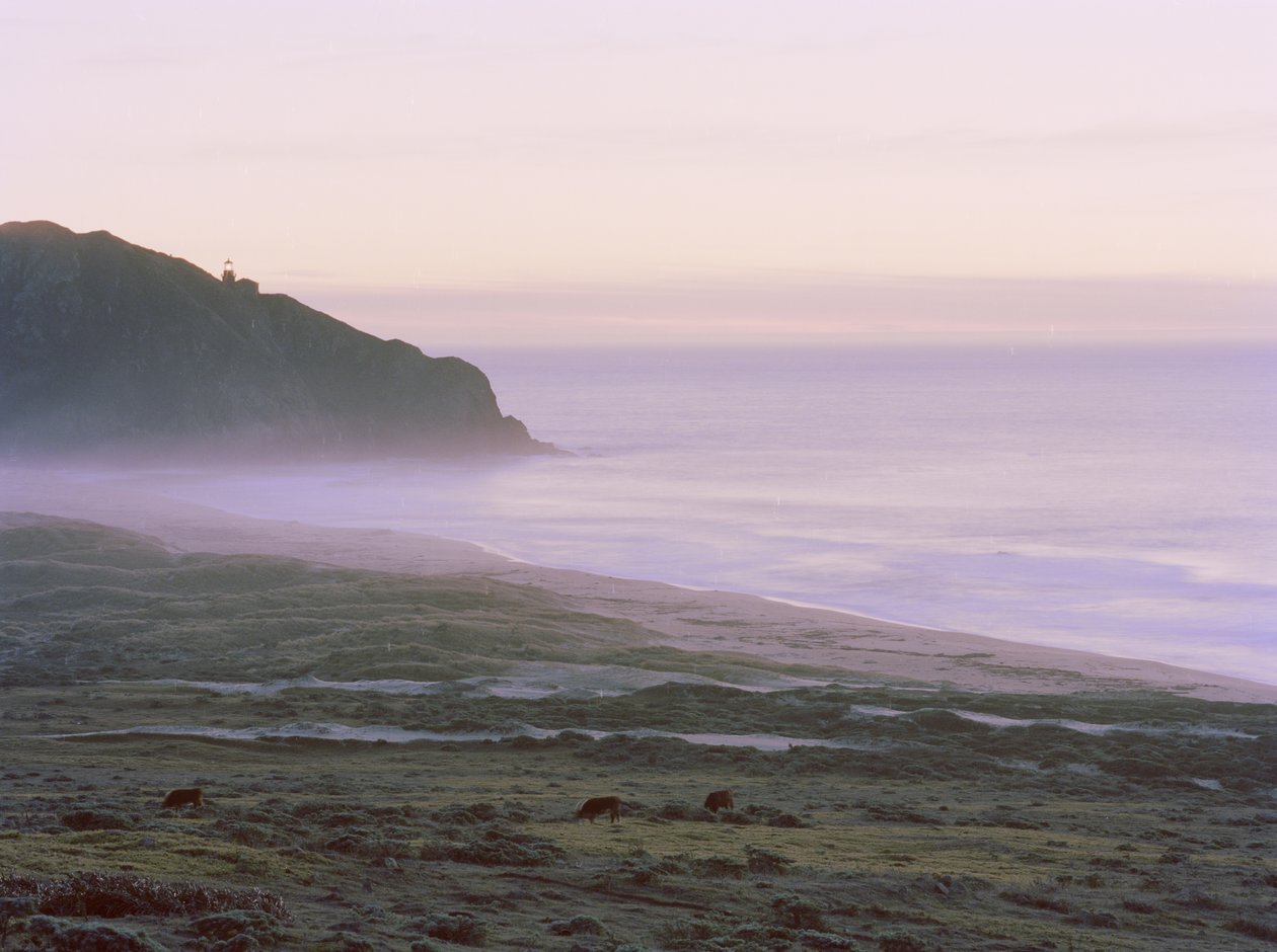 Big Sur, 2014 af Carli Choi