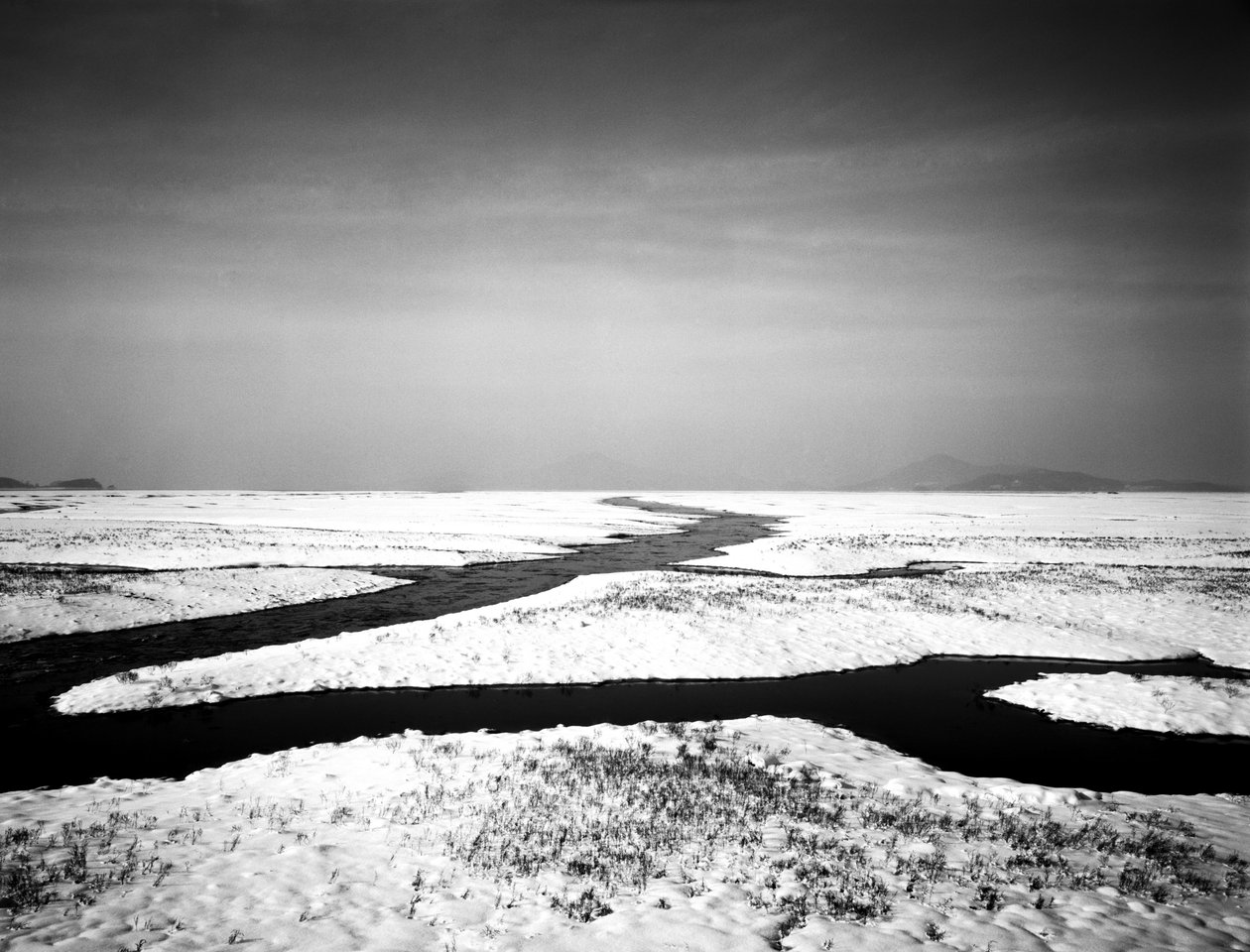 For evigt ved havet, 2012 af Carli Choi