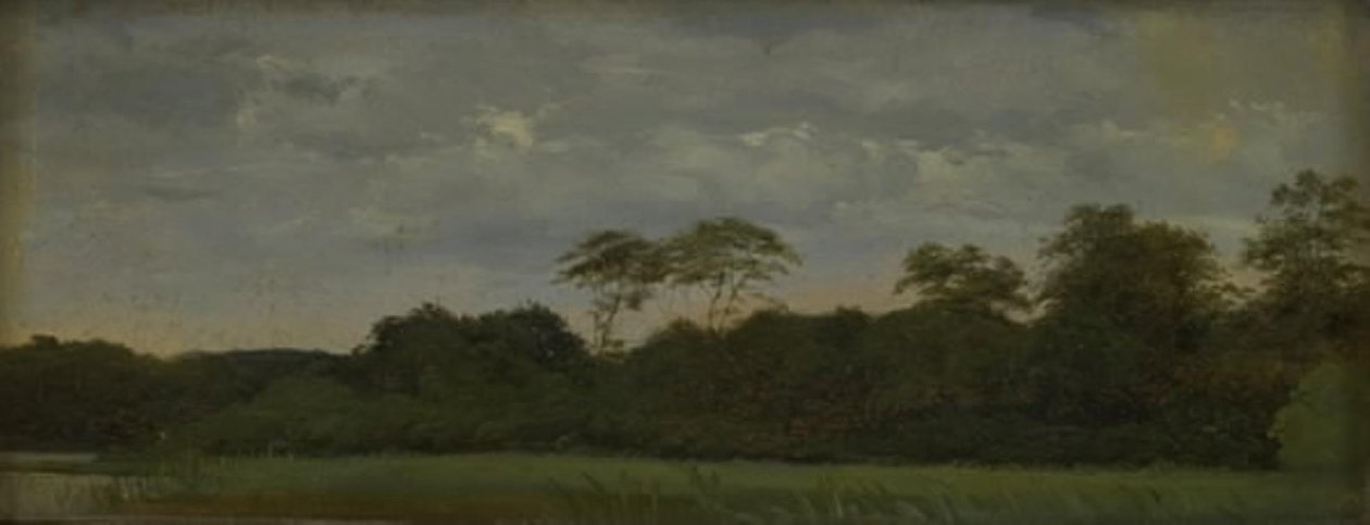 En eng ved en skovsø af Carlo Dalgas