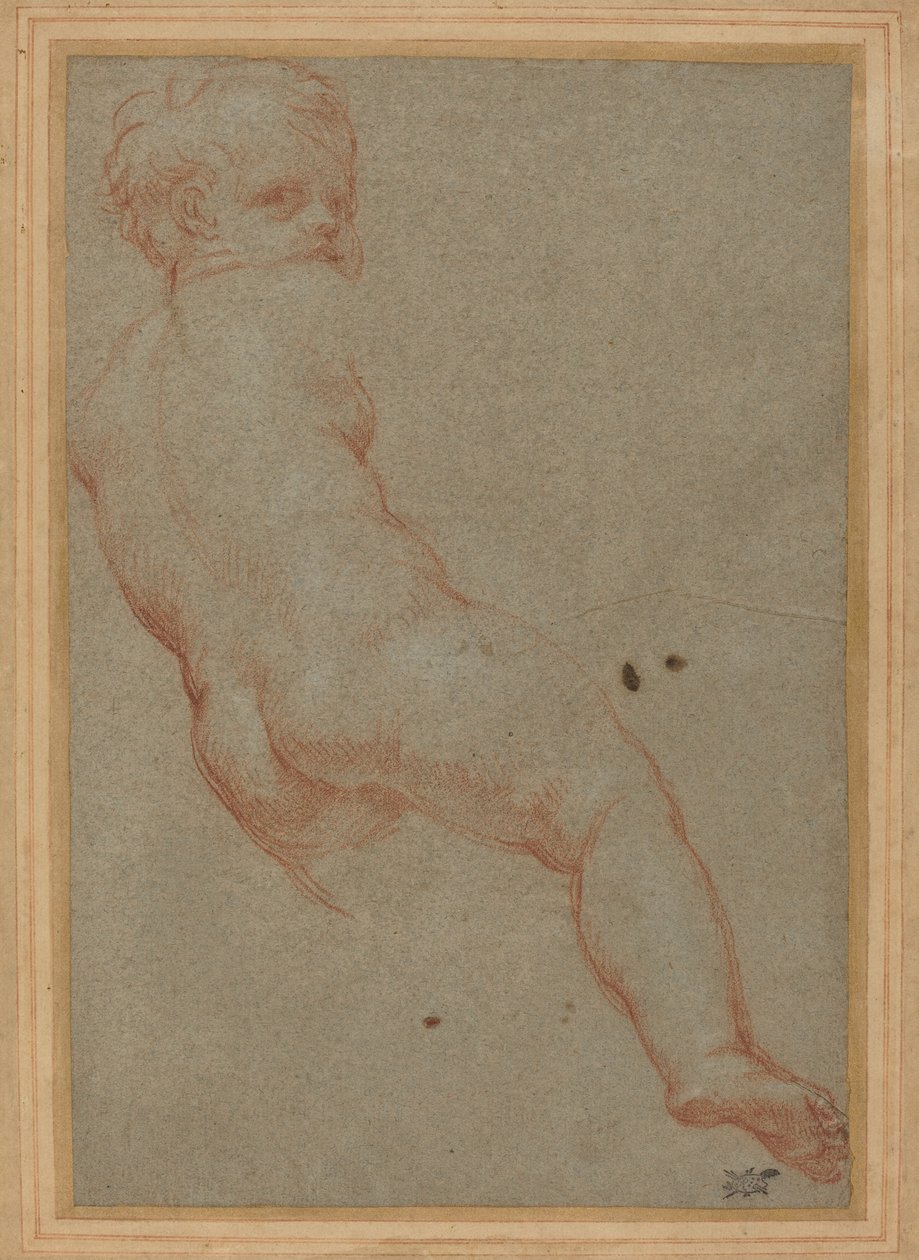 Studie af en ung dreng af Carlo Maratta