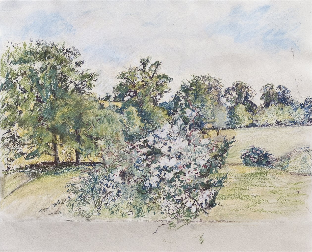august fra vores vindue, 2007 (pastel & wc på papir) af Caroline Hervey Bathurst