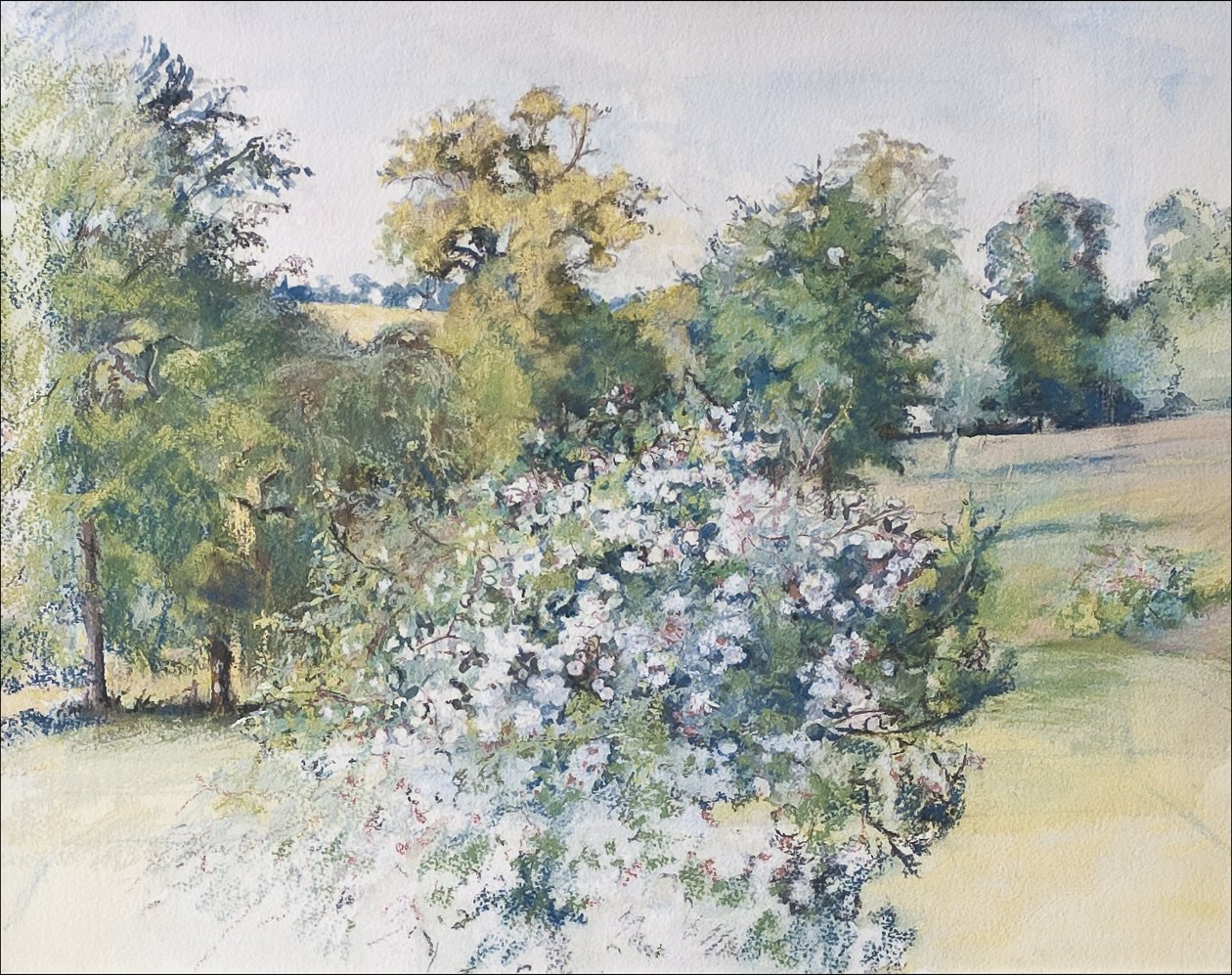 juni fra vores vindue, 2007 (pastel & wc på papir) af Caroline Hervey Bathurst