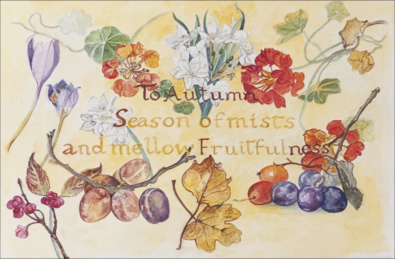 Ode til Autumn Keats, 2008 (wc på papir) af Caroline Hervey Bathurst