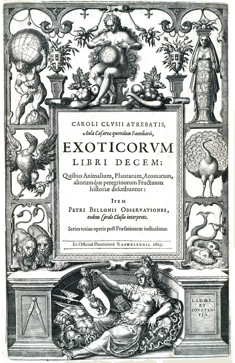 Ti bøger om det eksotiske af Carolus Clusius