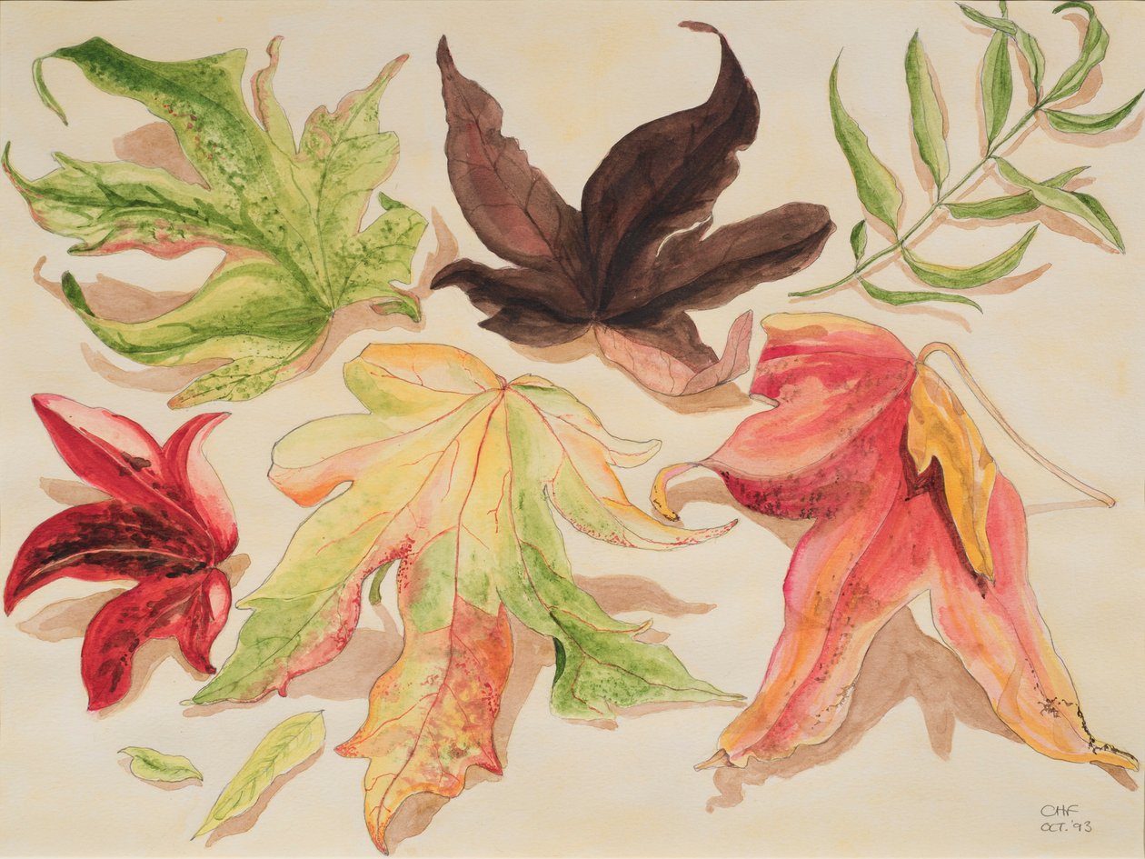 Autumn Leaves, 1993 (wc på papir) af Carolyn Hubbard Ford