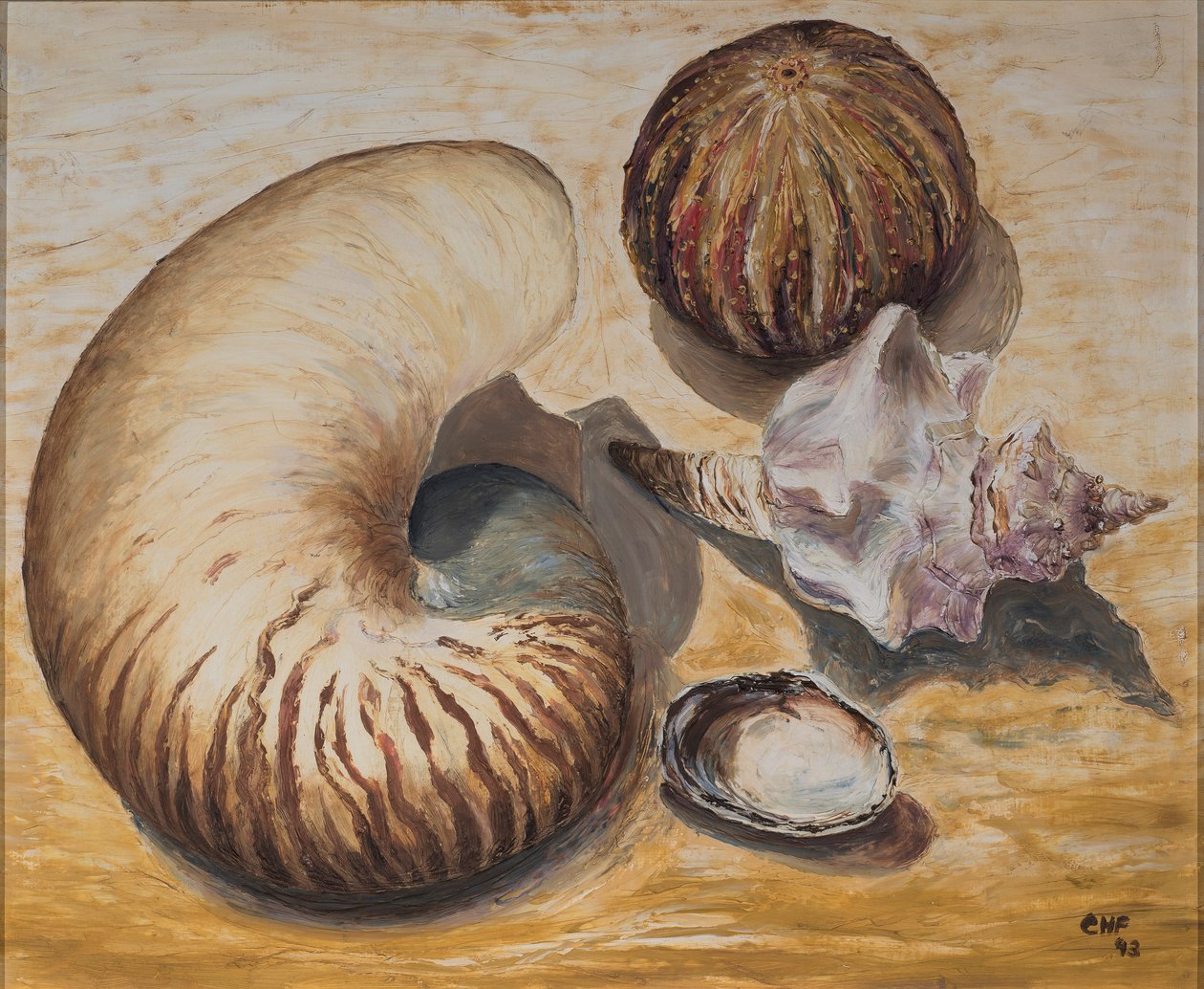 Muslingeskaller, 1993 (olie på papir) af Carolyn Hubbard Ford